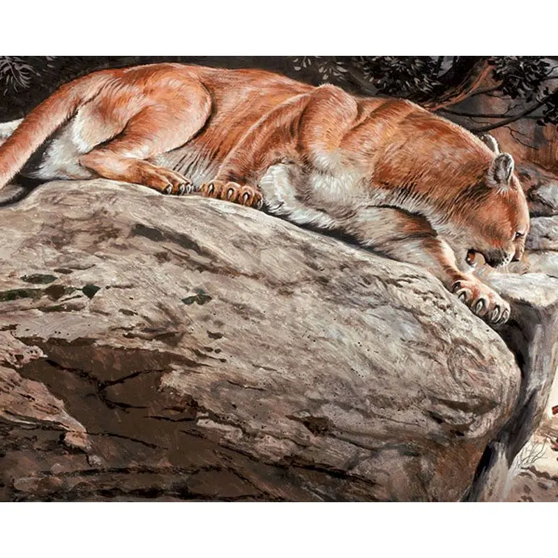 

GATYZTORY Frame Leopard Animal DIY Painting By Numbers HandPainted Oil Painting Drawing On Canvas Home Decor Accessories