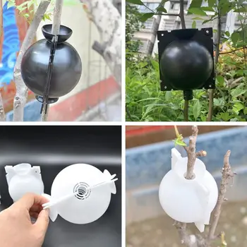 

3 Sizes Adjustable Plant Rooting Ball Grafting Rooting Growing Box Breeding Case For Garden Indoor Gardening & Hydroponics 1