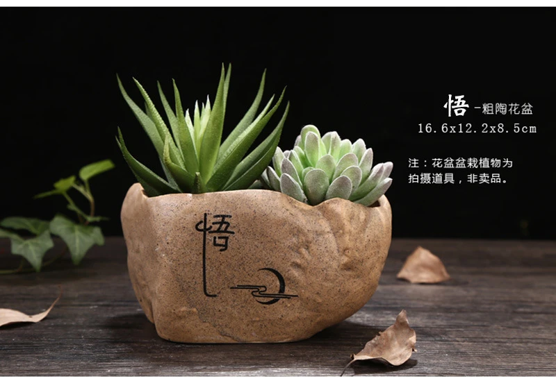 Imitation Stone Ceramics Buddhist Mood Meaty Botany Crude Tao Creativity Green Plant Potted Plant Flowerpot