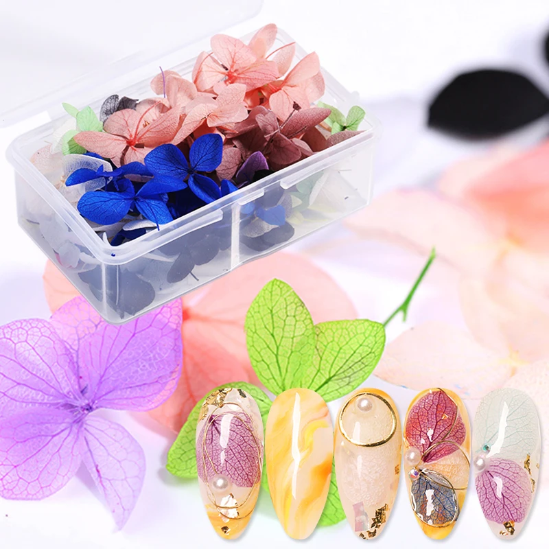 

Dried Flowers Nail Art Decorations Natural Flora Nail Stickers for Manicure Nail Art Decoration Beauty UV Gel Polish DIY