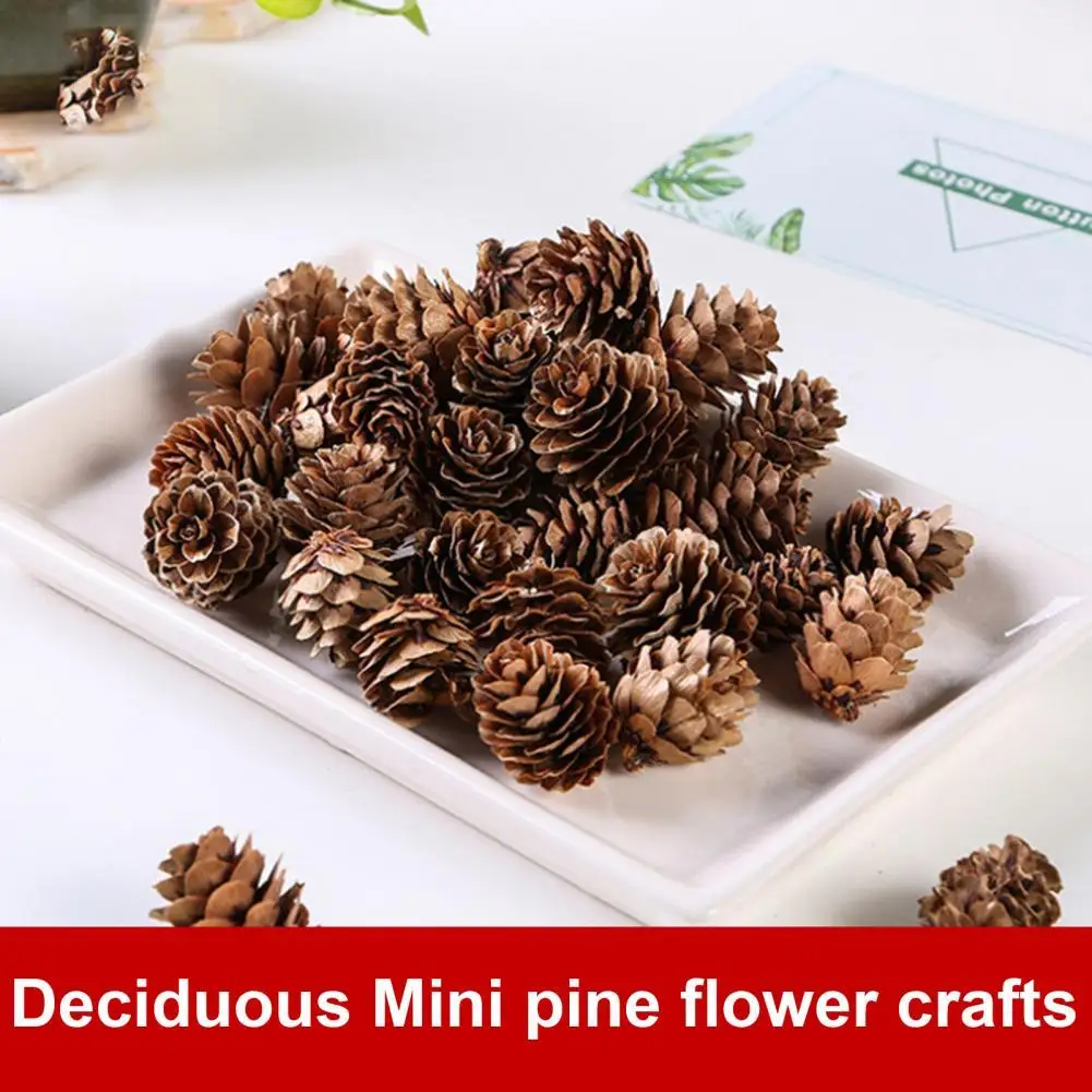 100pcs/Lot Mini Small Natural Pine Cones Dried Flowers for Christmas  Decoration or Crafting - AliExpress