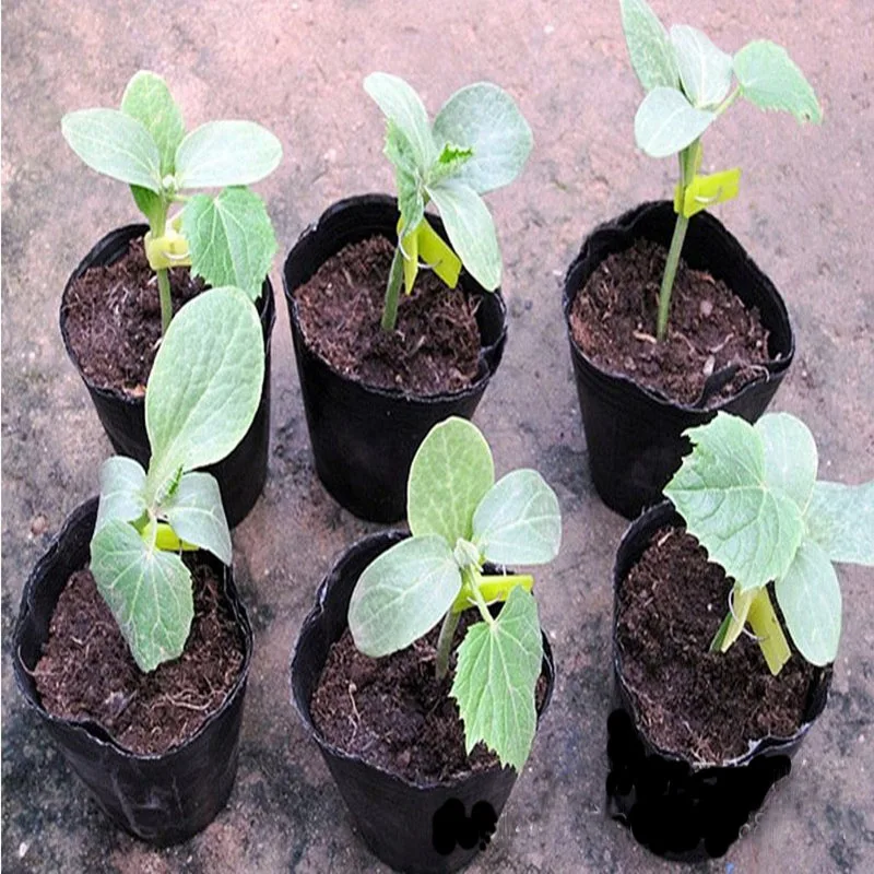 New 100pcs Nursery pot plastic Plant Seeds nursery box garden Propagation Container Grow Bag Garden Supplies Flower pot plug