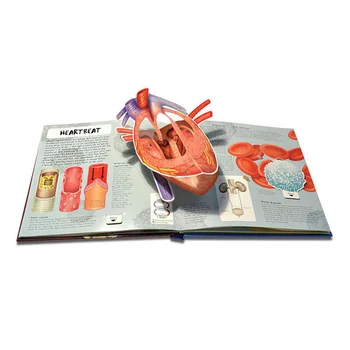 

New Hot Anatomy of The Human Body in English Popular Science Book 3D Picture Book Early Education Book for Kid USJ99