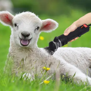 

Pet Electric Clipper Set High Power High-speed Sheep Shears Wool Scissors