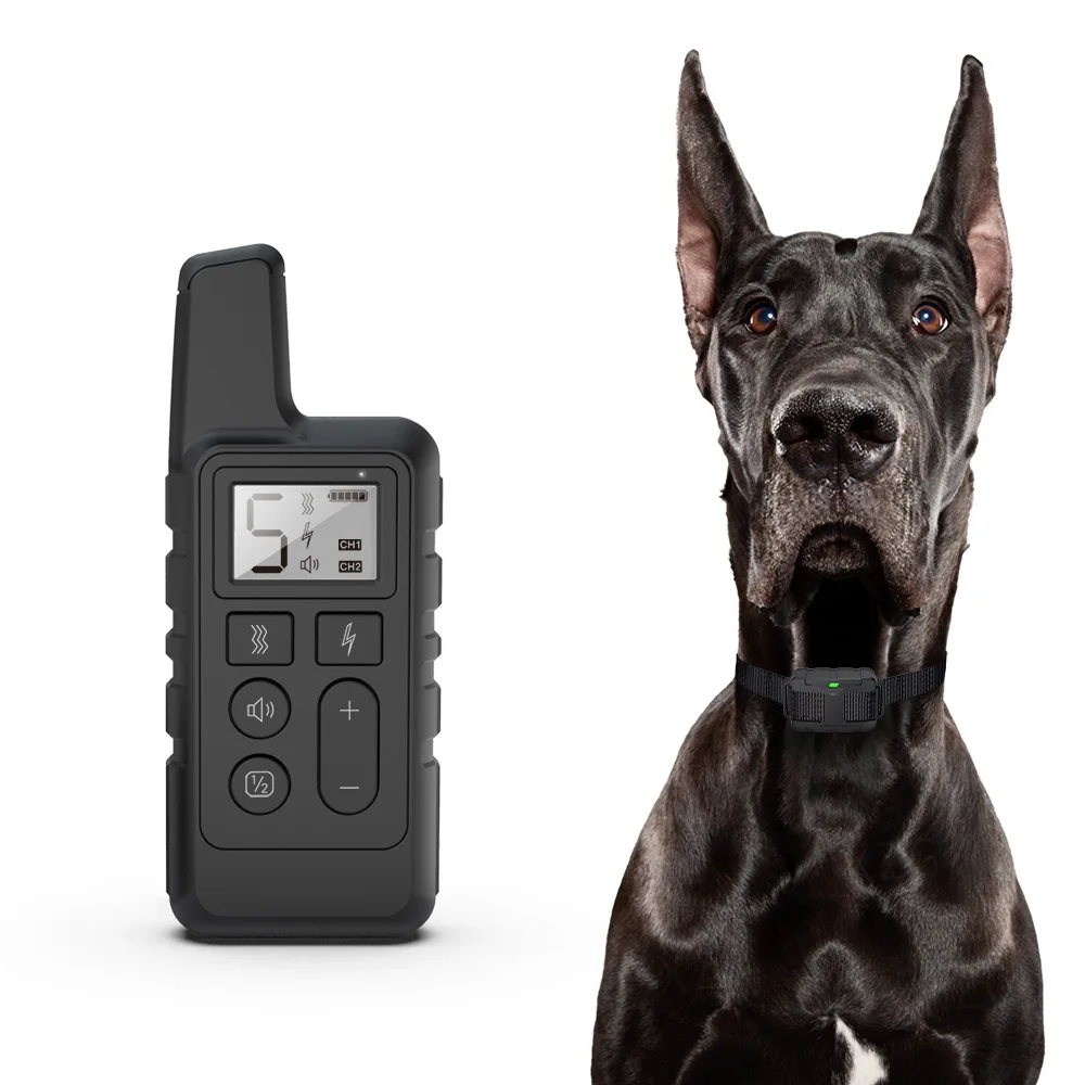 1 black dog collar