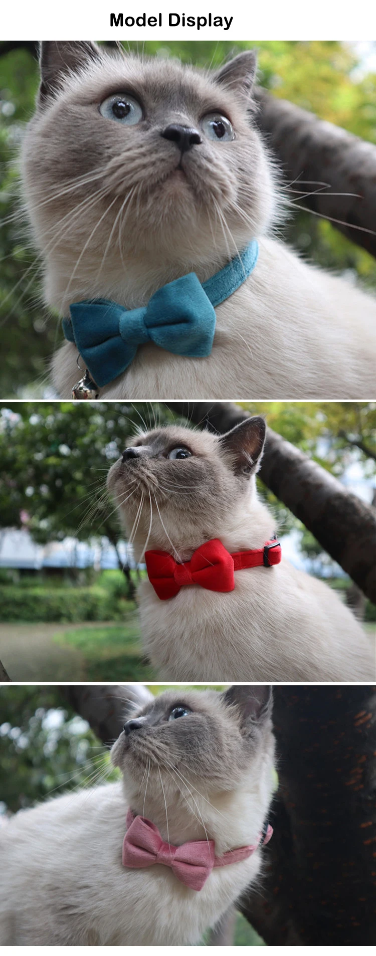 Hd44a4d7351254ce0b7f85aa37303678bn (1)