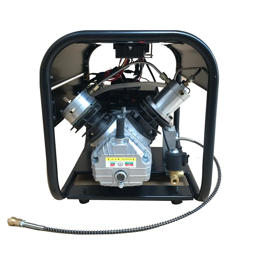 TUXING 4500Psi 300 бар 30 мпа Фотографическая винтовка электрический насос высокого