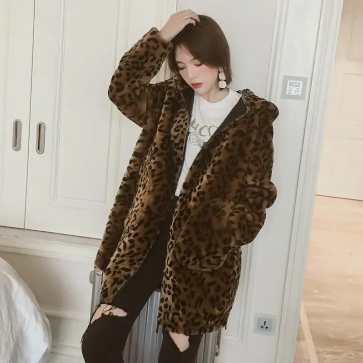 HTB1waoFedHO8KJjSZFHq6zWJFXaN___________________________