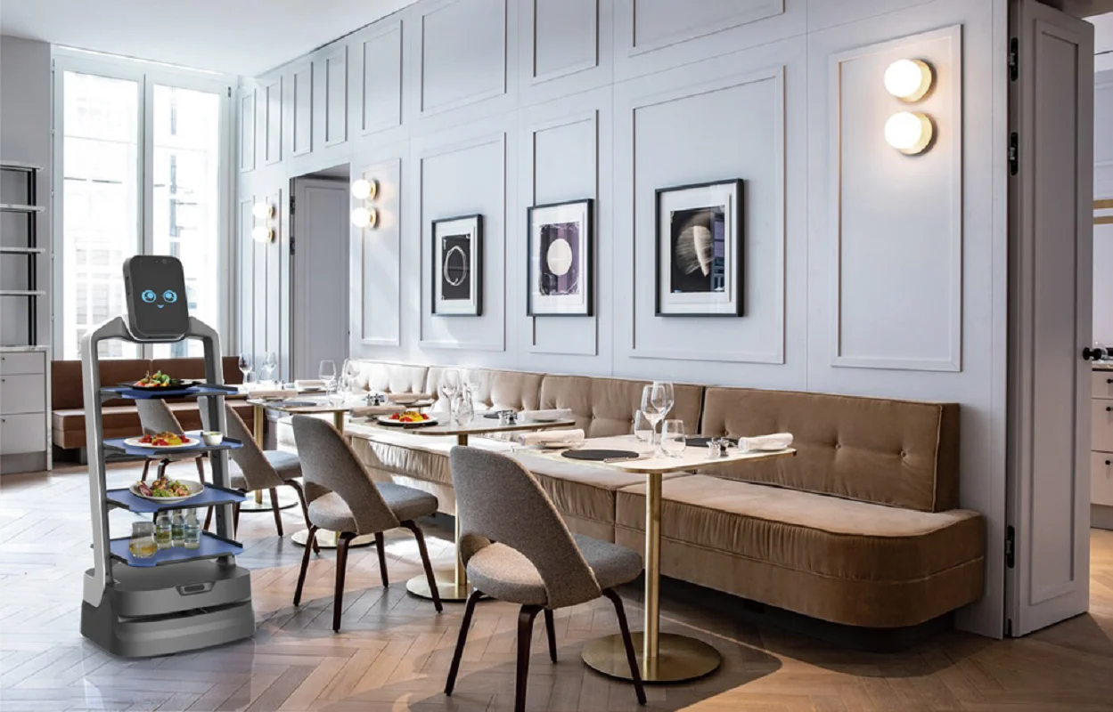 Рисунок 5 - Популярный робот для обслуживания