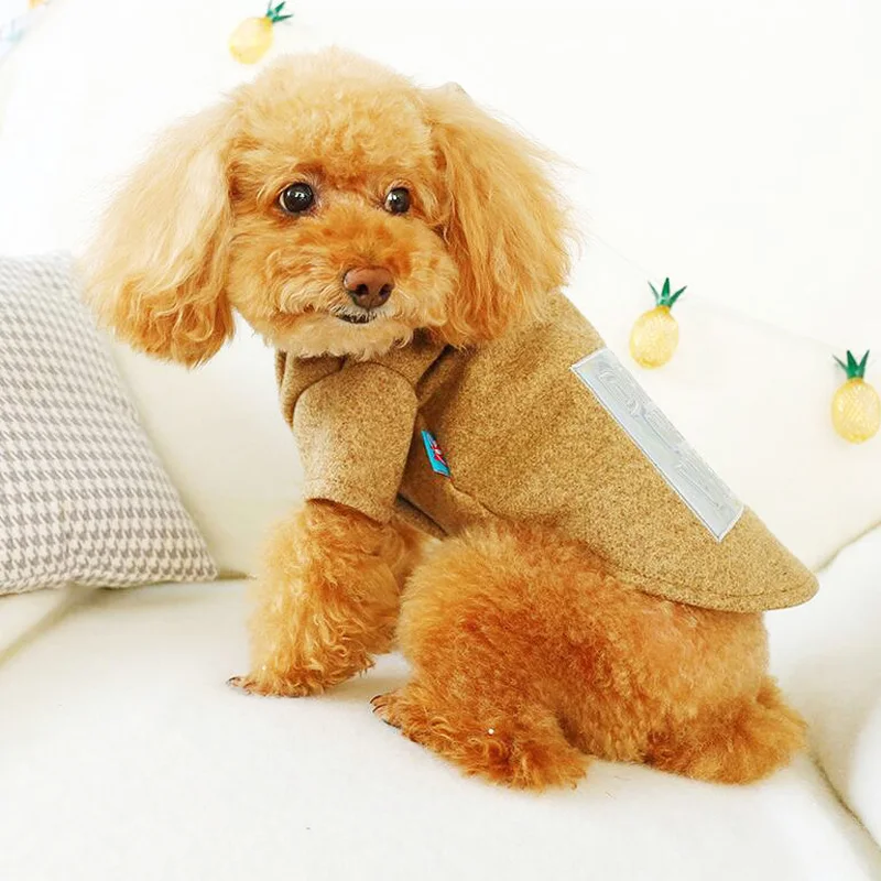 Новая стильная зимняя одежда с капюшоном для собак, теплая шерстяная куртка для собак, одежда для щенков, двухногий Повседневный плюшевый пудель, Одежда для питомцев, XS-XL