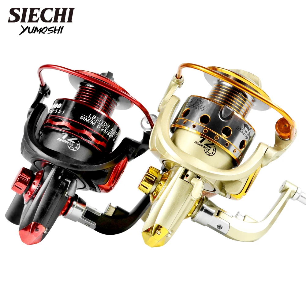 dsc-products