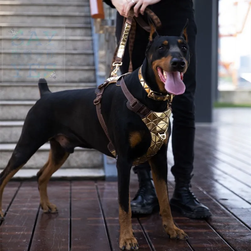 Need Designer Dog Collars? Get Today Luxury Doberman Leather Collar