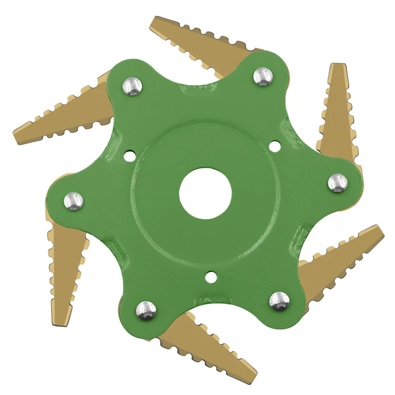 12157352665_1185384007