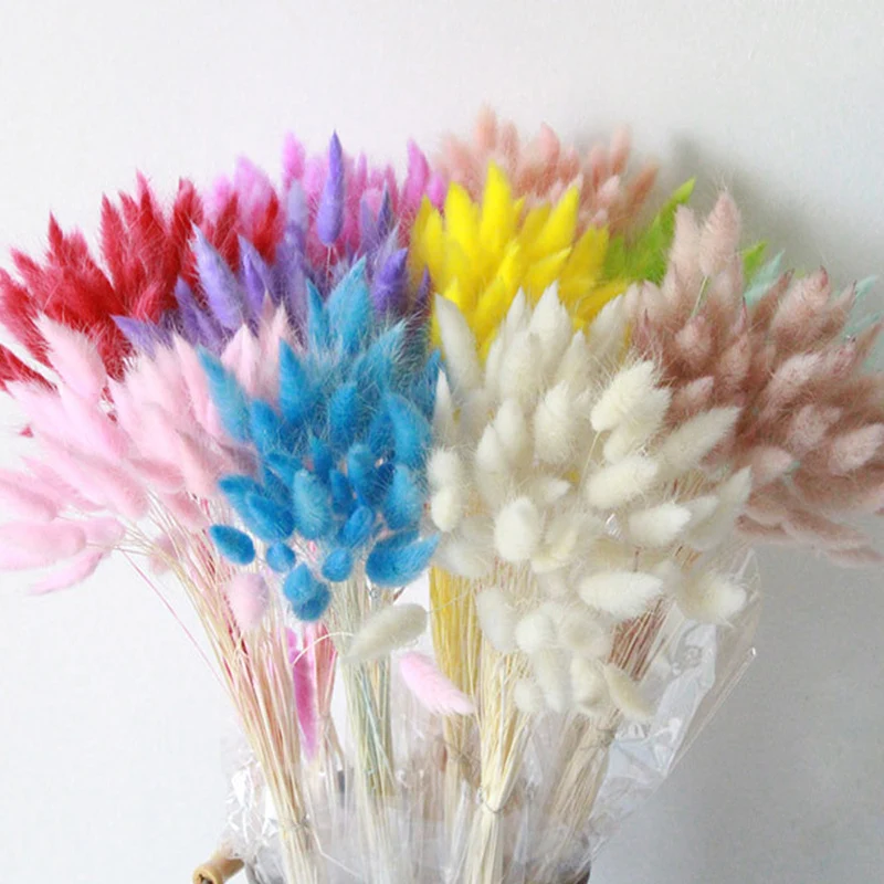 30Pcs-lot-Natural-Dried-Flowers-Rabbit-Tail-Grass-Bunch-Colorful-Lagurus-Ovatus-Real-Flower-Bouquet-for