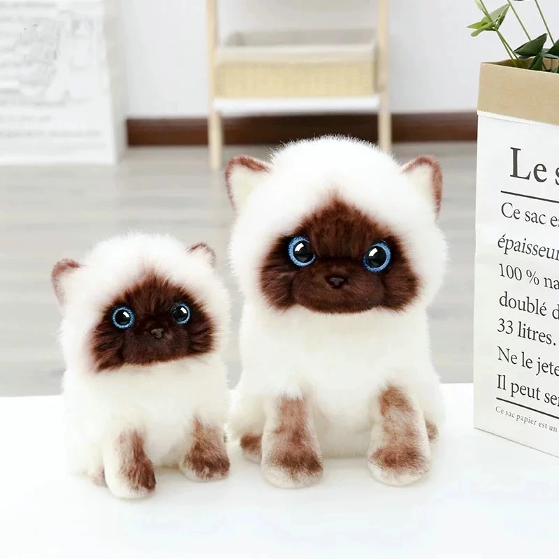 20/26cm Simulation Cute Siamese Cat 