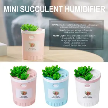 

Ultrasonic Humidifier Aroma Diffuser Air Purifier Succulents 350ML Convenient Creative Moisture Night Light Health Care