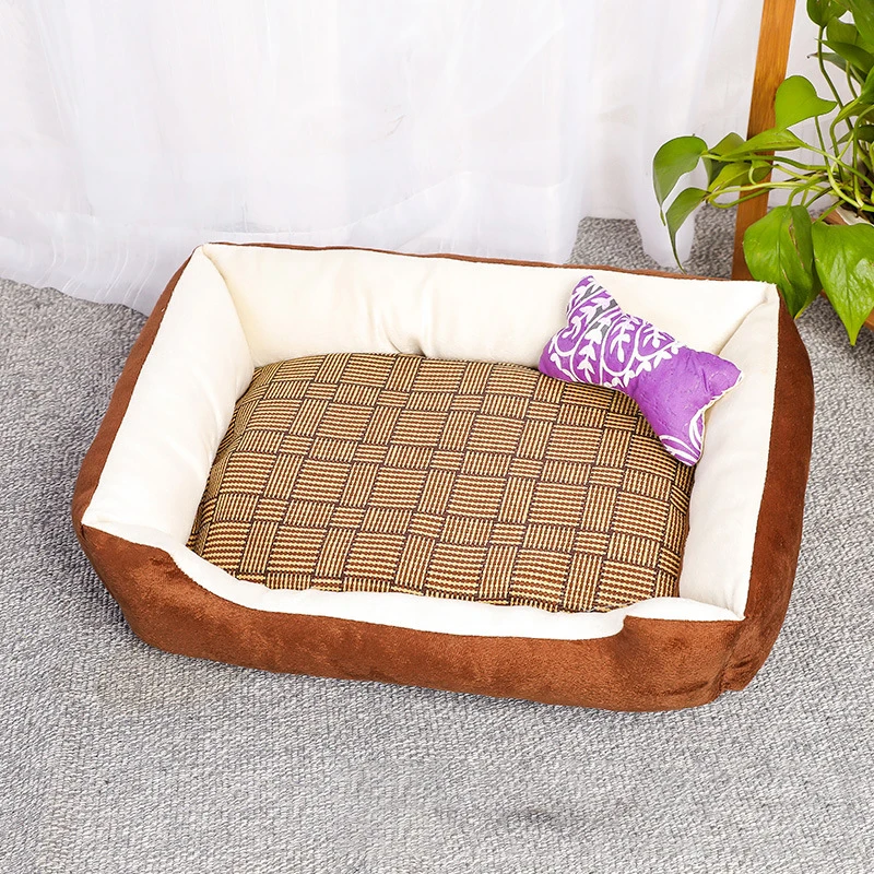 10780133858_1739912750