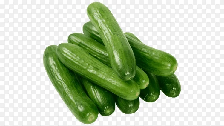 亚美尼亚黄瓜健康哈密瓜食品-黄瓜