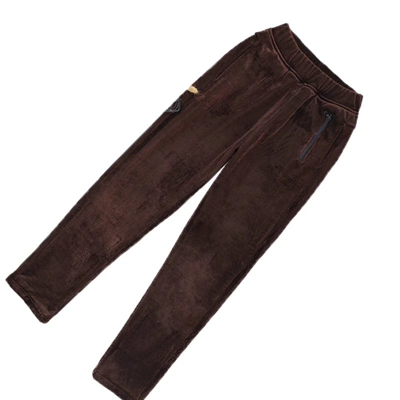 Gold velvet pencil pants velvet thick pants women winter new plus size velvet elastic waist women's trousers winter pants women