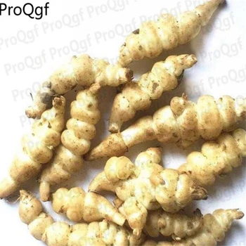 

Ngryise 3Pcs Stachys sieboldii