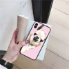 Mobile Phone Accessories