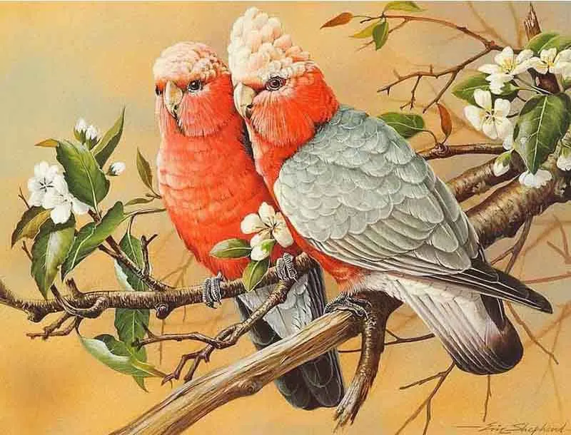 

Diamond Painting Birds embroidery 5d diy full round animals diamond mosaic daimond kit cross stitch art handmade home decoration