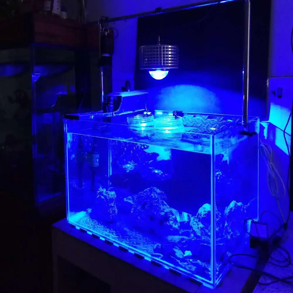 Светодиодный светильник для аквариума 100 Вт CREE светодиодный светильник для морских коралловых рифов, волшебная лампа для растений