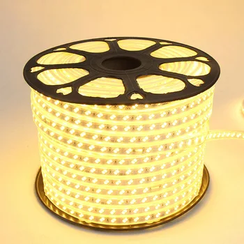 

220V Waterproof LED Strip Light SMD 5730 120LEDs/m Flexible Light Tape Ribbon Diode 1-10m EU Plug Outdoor Indoor Decoration