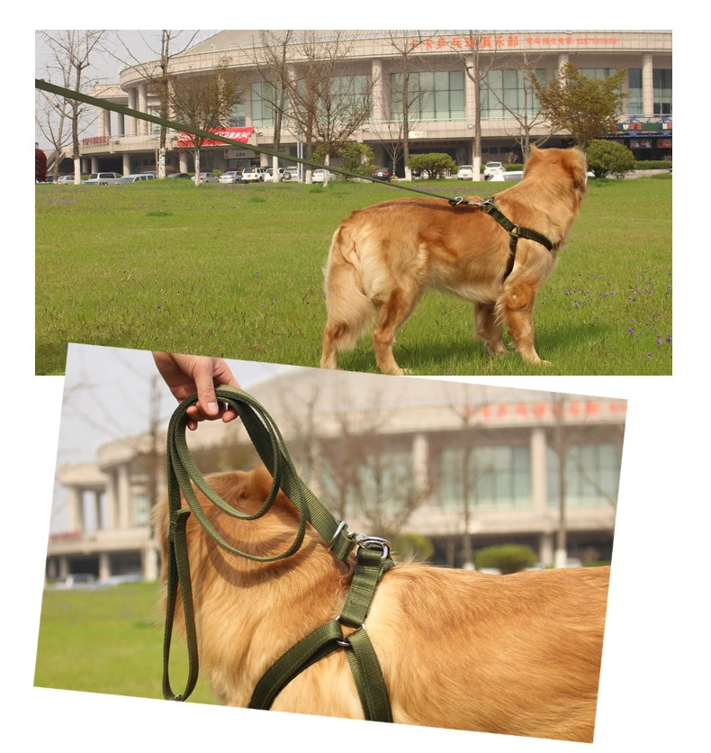high quality dog leash