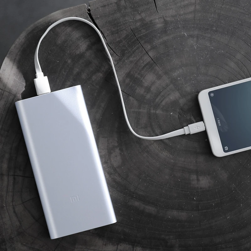 10000 мАч Оригинал Xiao mi power Bank 2 Внешний аккумулятор для быстрой зарядки Dual USB