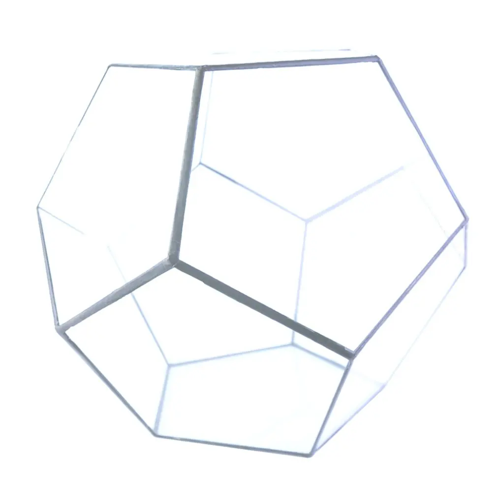 Dodecahedron стеклянный парник зеленое растение прозрачный креативный мох микро