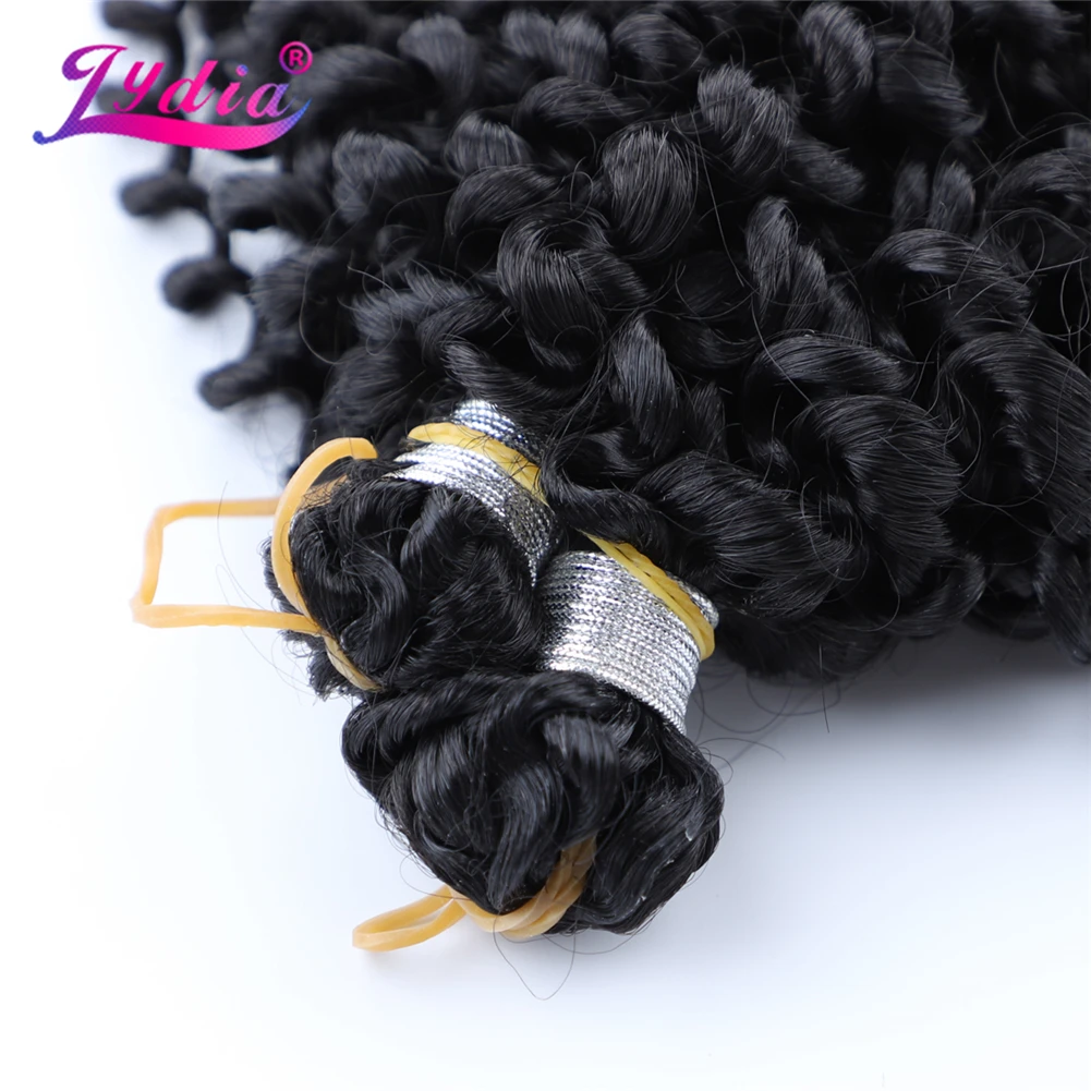 Lydia Hair Extension No Weft Crochet Hair 6