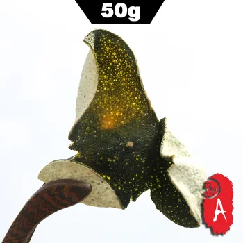 

2019 Chinese Herbs Green XinHui "Chen Pi" Dried Tangerine Peel Pericarpium Reticulatae Orange Peel Tea Original Ecological 50g