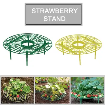 

10pcs Strawberry Frame Holder Balcony Planting Rack Fruit Support Plant Flower Climbing Vine Pillar Gardening Stand