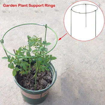 

Large Garden Plant Support Rings 3 Legs Ring Steel Wire Bracket Garden Climbing Trellis Flower Potted Climbing frame Fixed plant