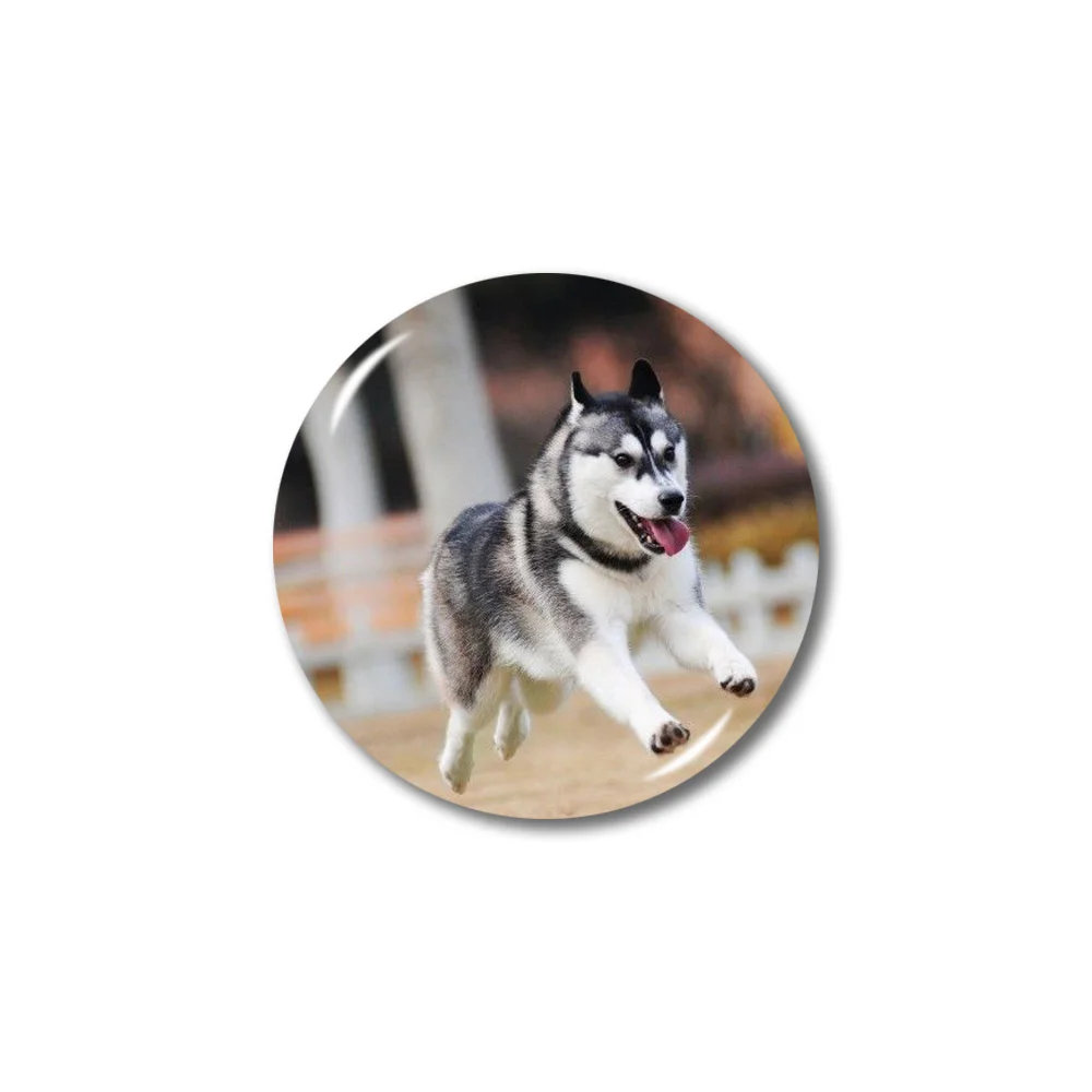 22 Lychee Huskie серия 3D магнит на холодильник круглой формы магниты на холодильник сувениры для путешествий украшение для дома и кухни - Цвет: 22