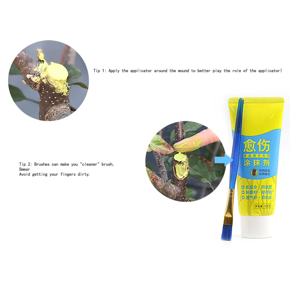 100g Tree Wound Bonsai Cut Paste Smear Means Pruning Compound Sealer with Brush