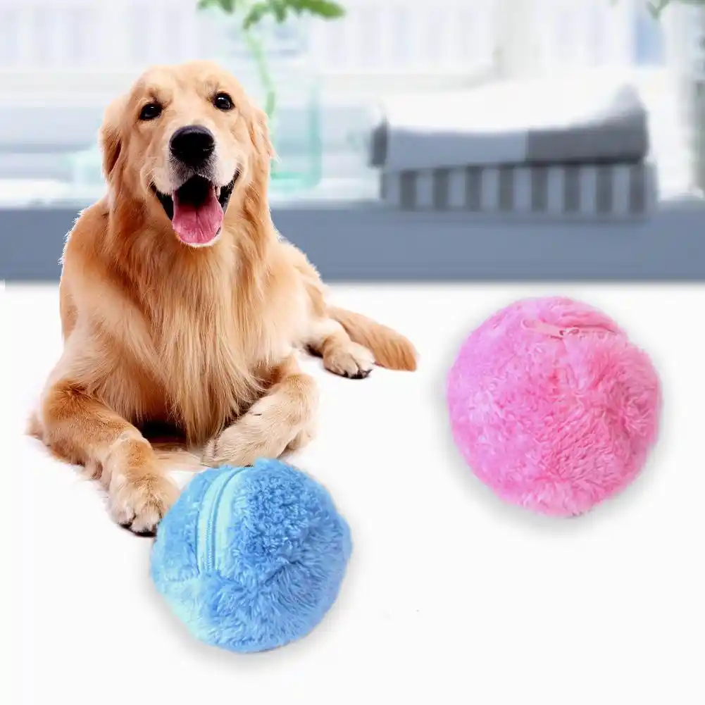 magic ball for dogs