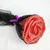 Super grandes rosas artificiales con tallos gigante espuma flor cabeza cumpleauna Dia de San Valentine boda telón de fondo decora - Цвет: red rose