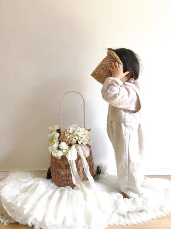 Children's photography props trolley pull car Nordic wind pull car straw pull car photo accesspries outdoor newborn  props