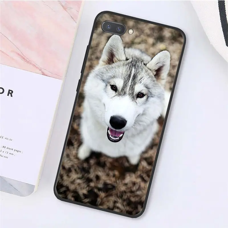 A15 MaiYaCa животных Собака Хаски чехол для телефона для huawei смартфона Honor 8X9 10 20 Lite 7A 8A 5A 7C 10i 20i View20 - Цвет: A15
