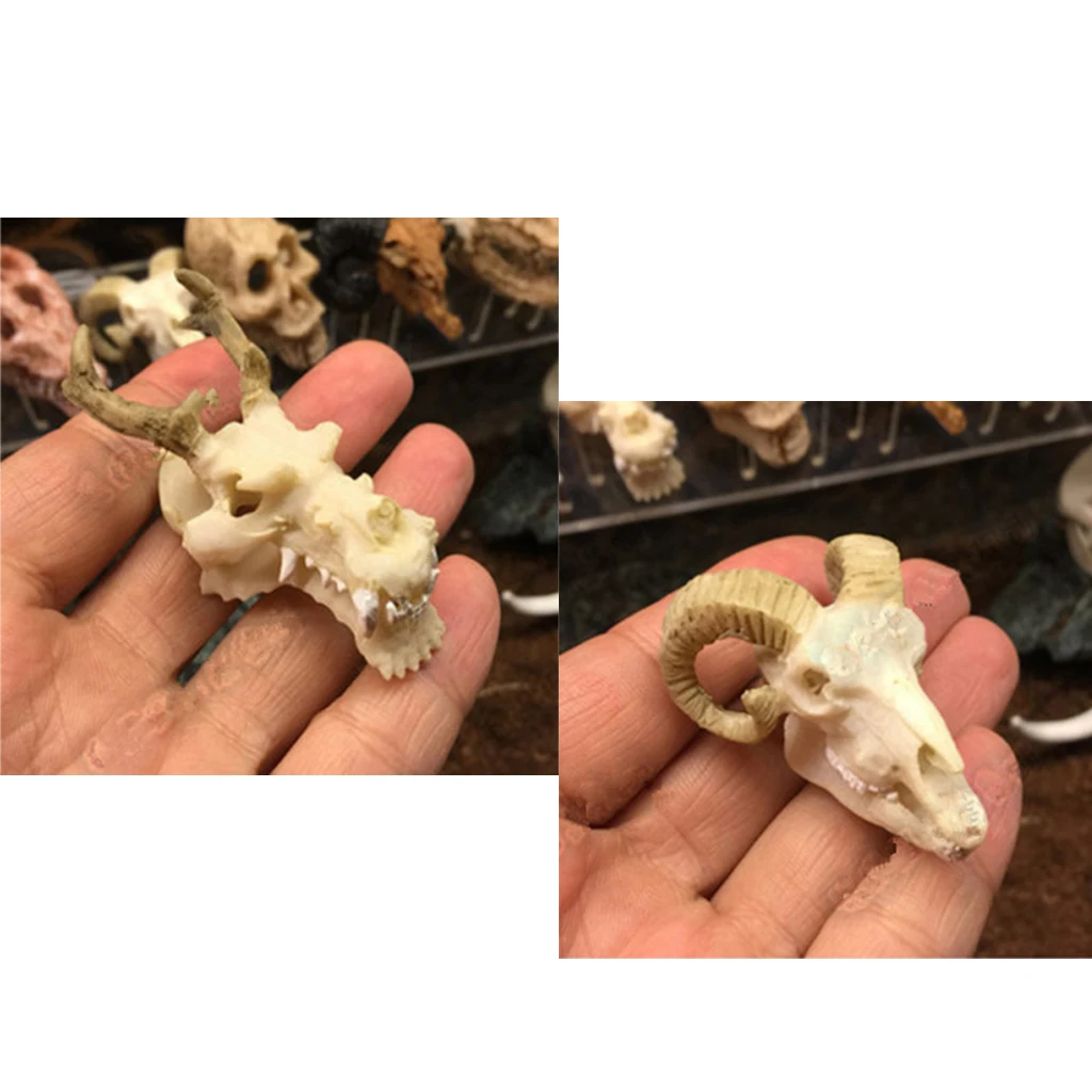 2 Pcs Resin Reptile Vivarium Decoration Terrarium DIY Landscaping Ornament Goat Skull and  Dragon Skull Shape