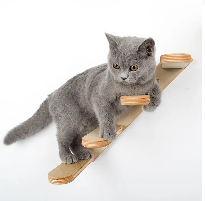 ladder_43