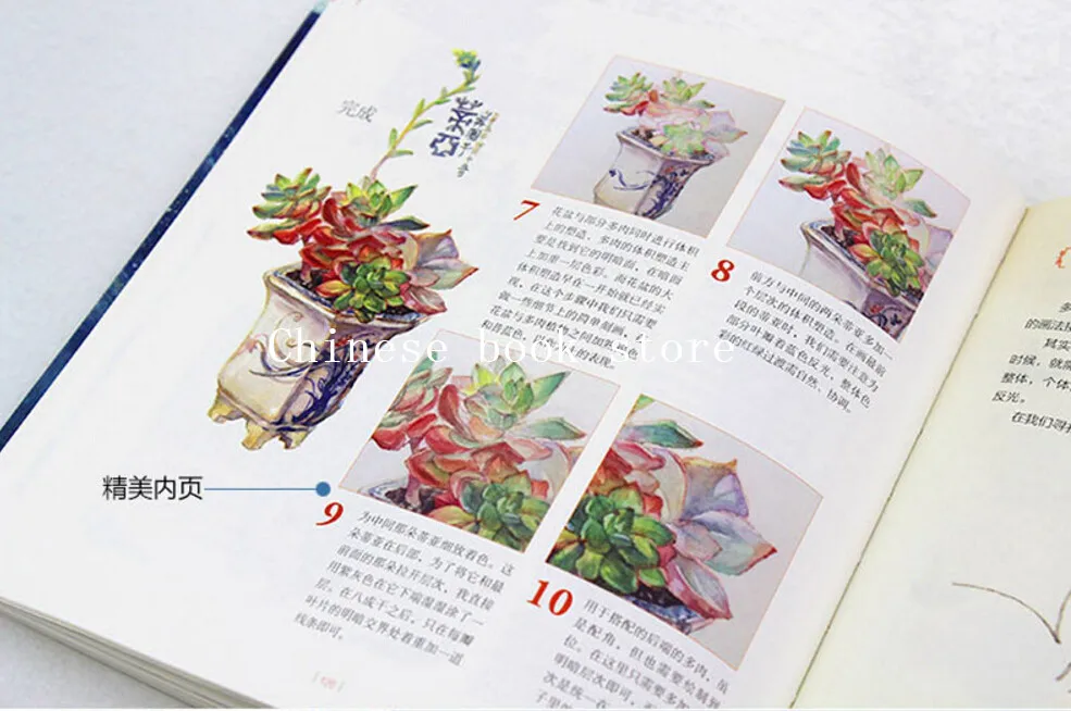 Учебная книга по акварелью практичная для рисования цветов и овощей|painting book|painting