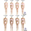 Esqueleto de acero inoxidable para figuras de acción, Cuerpo Femenino Flexible sin costuras, escala 1/12, juguetes modelos de muñecas HENG ► Foto 1/6