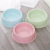 Pet Dog Food Bowl Cat Water Feeding Bowl Durable Thicken Plastic Wheat Stalk Feeder Bowls for Small Medium Dogs Puppy Products