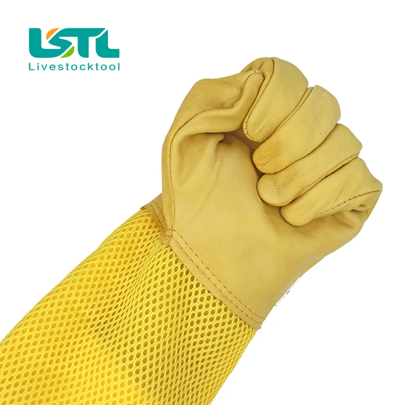 Slide image 3c8d38c67a13466298aa6d906b4575fd