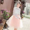 26 Colors 5 Layered 65cm Knee Length Tulle Skirt Tutu Women Skirt High Waist Pleated Skirt Cosplay Petticoat Elastic Belt Faldas ► Photo 2/6