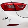 Exterior Accessories