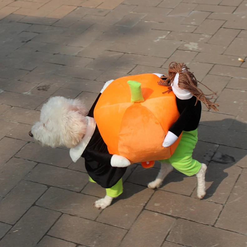 Jormel костюм тыквы для питомцев на Хэллоуин для собак, кошек, Рождественская Одежда для собак для маленьких собак, бульдог, мопс, Йоркская одежда, пальто для щенка